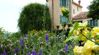 Full Day Tour to Antibes Cannes Grasse and Gourdon from Nice