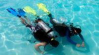 PADI Discover Scuba Diving Course in Punta Cana