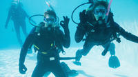 PADI Discover Scuba Diving Program in Puerto Plata PADI Discover Scuba Diving Program in Puerto Plata