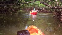 Dolphin et Manatee Kayak Visite