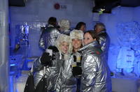 Amsterdam's Icebar Xtracold with Optional Canal Cruise