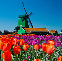 Amsterdam Super Saver 3: Recorrido por la ciudad y excursión de un día a los molinos de viento de Zaanse Schans, Volendam y Marken Amsterdam Super Saver 3: Recorrido por la ciudad y excursión de un día a los molinos de viento de Zaanse Schans, Volendam y Marken