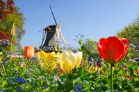 Amsterdam Super Saver: Keukenhof Gardens and Floriade 2012 Day Trip Amsterdam Super Saver: Keukenhof Gardens and Floriade 2012 Day Trip