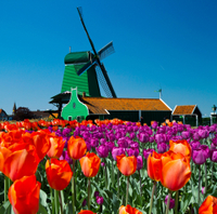 Offre spéciale Amsterdam nº 3: journée complète with visite de la ville, moulins de Zaanse Schans, Volendam et Marken