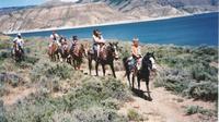 Personalized Horseback Rides around Lake