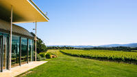 Gourmet Vineyard Lunch and Yarra Valley Winery Tour from Melbourne