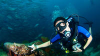 Discover Scuba Diving