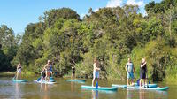 KURANDA RAINFOREST ADVENTURE TOUR image 1 KURANDA RAINFOREST ADVENTURE TOUR image 1