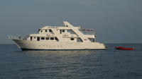 Dolphin Spotting Overnight Cruise to Sataya with Scuba Diving