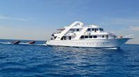 Dolphin Spotting Overnight Cruise to Sataya with Scuba Diving