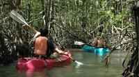 Damas Island Mangrove Kayaking Tour from Jacó