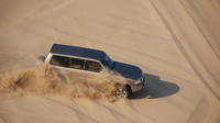 Half Day Desert Safari from Doha