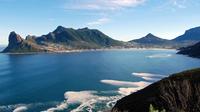 Cape Peninsula Private Day Tour from Cape Town