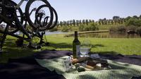 Cycle Tour Through Vineyards including Picnic: Private Day Tour from Cape Town