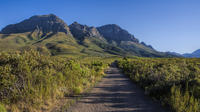 Half-day Private Hiking Tour in Helderberg Nature Reserve