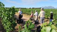 Segway Vineyard Tour with Wine Tasting and Picnic: Private Day Tour from Cape Town