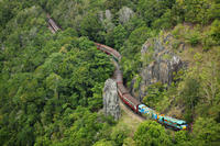 Evite las colas: ferrocarril panorámico de Kuranda, en clase Gold, y teleférico Skyrail sobre la selva tropical Evite las colas: ferrocarril panorámico de Kuranda, en clase Gold, y teleférico Skyrail sobre la selva tropical