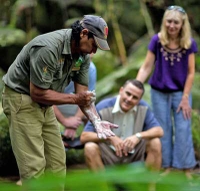 Excursion d'Une journée: Gorges de Mossman, promenade dans la forêt tropicale Aborigènes (Dreamtime autochtone), croisière crocodiles sur la rivière Daintree