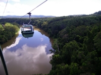 Excursion d'Une journée, téléphérique verser Skyrail Rainforest, DEPUIS Port Douglas