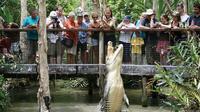 Hartley's Crocodile Adventure Half-Day Tour