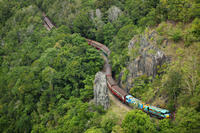 Skip the Line: Kuranda Scenic Railway Gold Class and Skyrail Rainforest Cableway