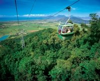 Skyrail, le téléphérique de la forêt pluviale - excursion d'Une journée au départ de Cairns