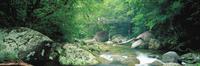 Visita a Daintree y Cape Tribulation desde Cairns Visita a Daintree y Cape Tribulation desde Cairns