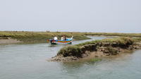 Bird Watching Guided Boat Trip in Ria Formosa from Faro Algarve