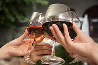 Wisconsin Dells Trolley Wine and Lunch Combo Tour