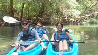 Champion Cypress Kayak Visite