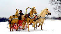 2-Hour Horse Sledge Tour from Riga