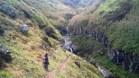 Walking Tour: Ribeira Funda and Furnas from Ponta Delgada