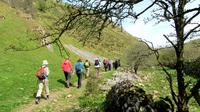 Limestone Dales of the White Peak Guided Walk in Peak District