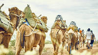 4-Day Small Group Camel Riding Trek from Wonoka Station