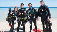 Discover Local Scuba Diving in Perth