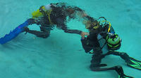 Discover Scuba Diving in Playa del Carmen