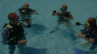 Learn to Scuba Dive- PADI Open Water Course