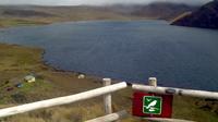 Full-Day Private Tour: Andean Condor Watching at Antisana Mica Lake from Quito