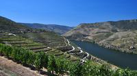 Douro Day Tour De Porto