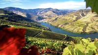 Douro Full-Day Tour from Porto