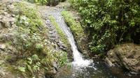 Gran Canaria Guided Trekking Tour in Valley of Azuaje