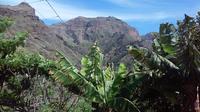 Las Palmas Shore Excursion: Coffee, Wine and Cheese Private Tour of Gran Canaria