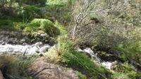 Las Palmas Shore Excursion: Private Trekking Tour in Gran Canaria