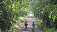 3-Day Biking and Hiking; Nature, Coffee, Culture and Cocora Valley from Pereira