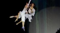 3-Hour ERA Acrobatic Show in Shanghai