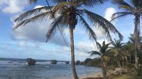 Nuts About Barbados Tour of Harrison's and Animal Flower Caves