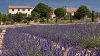 Full-Day Private Tour of Verdon Canyon and Moustiers Saint Marie from Nice