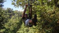  Zipline Adventure from Montego Bay