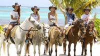 Horseback Riding Tour Punta Cana Ecological Reserve