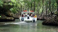 Puerto Plata Day Trip to Los Haitises National Park